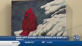 New art exhibit puts birds on display in Waseca [upl. by Eruza650]