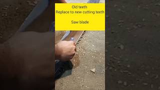 old saw teeth to new cutting teethyoutubevedio shortsvideo [upl. by Krute]