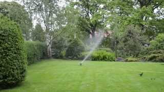 Double Rotary Sprinkler [upl. by Fleischer]