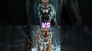 Wolf vs 10 Wild Beasts  Epic Animal Battles with Shocking Results [upl. by Vastha]