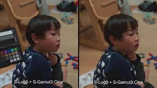 Slog2とSlog3の違い。8bitのSlog3は本当に使えないのか。Sony α7R IIIでSlog2とSlog3を比較検証。その画質の違いはいかに。 [upl. by Asimaj547]