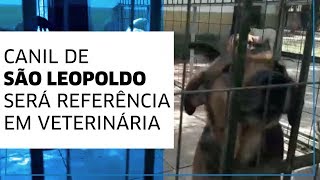 Canil de São Leopoldo será referência em estudo de medicina veterinária [upl. by Aretse356]