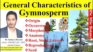 General characteristics of Gymnosperms gymnosperms  origin morphology anatomy root stem leaves [upl. by Bonner222]