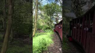 Narrow Gauge Railway Ride at Bressingham Steam Museum  Great day out for the whole family [upl. by Ardine]