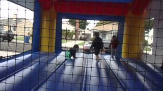 Moon Bounce Fun [upl. by Karlee]