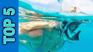 Top 5 Best Snorkeling Gear in 2023 [upl. by Akinehs]