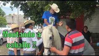 El Patron Neto en Un Caballo Bailador 🐎🐴 [upl. by Yregerg716]