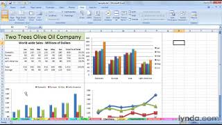 Excel Tutorial  Manage multiple worksheets [upl. by Eneleahs]