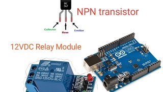 How to use 12VDC Relay Module with Arduino [upl. by Rettuc]