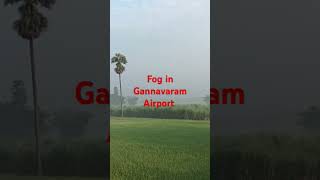 Fog in Gannavaram krishna dt2Nov2024 7AM [upl. by Flosser696]