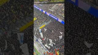 Sturm Graz Fans in Dortmund 05112024 [upl. by Reinhart]