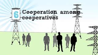 NRECA Cooperative Business Model 7 Cooperative Principles [upl. by Rosio]