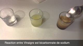 Reaction Entre Bicarbonate De Sodium Est VinaigreAcide Et Citron [upl. by Rentschler]