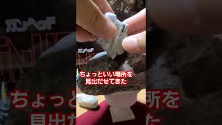 60秒チャレンジ⁉️art comedy funny rockbalancing shortvideo 石花 60とがるロックバランシングありがとう いやし うちで過ごそう [upl. by Odoric]