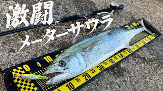 【メーターサワラ降臨】沖で跳ねる怪物はモンスターショットでワンパンでした ～ショアジギング青物～ [upl. by Tavia]