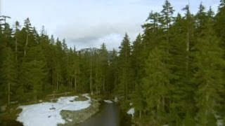 Forestry in Canada Exploring Boreal Forest with Pierre Levac [upl. by Ramhaj470]