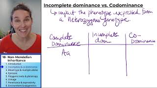 NonMendelian Inheritance 2 Incomplete and Codominance [upl. by Garrity480]