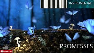 210  Promesses  Instrumental [upl. by Latsirk814]