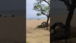 Butterfly beach Goa beautiful place in goa beach travel [upl. by Leanahtan]