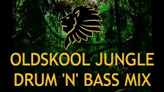 Oldskool Jungle Drum n Bass Mix 9297 [upl. by Alimaj]