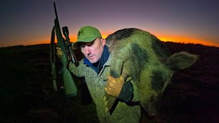 Building a huge Wild Boar Trap Catch Clean Cook Feral Hogs are Taking OVER the Ranch [upl. by Siuol]