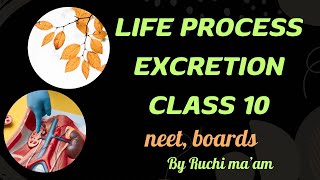 Life process  class 10 excretion in plants and animals cbse ncert boardsbiologyscience [upl. by Ciapas]