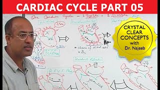 Cardiac Cycle  Systole amp Diastole  Dr Najeeb Part 58 [upl. by Inman535]