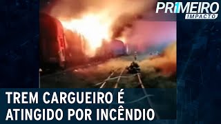 SP incêndio destrói três vagões de trem cargueiro em EmbuGuaçu  Primeiro Impacto 020223 [upl. by Pang57]