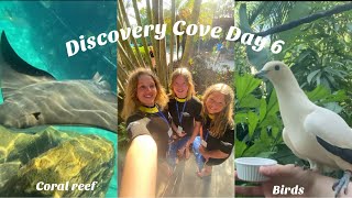 Discovery Cove VLOG  Day 6 Coral Reef Lazy River Birds [upl. by Bouley]