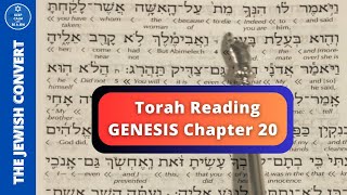 Genesis Chapter 20  Torah Reading in Hebrew amp English Translation  TORAH STUDY [upl. by Bornie]