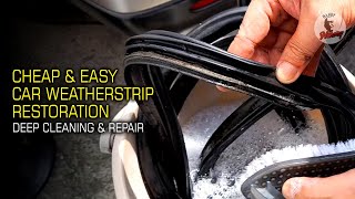 Car Trunk Water Leak Repair  Honda CRV 2nd Gen Tailgate  Tailgate Weatherstrip Replacement [upl. by Nahtannhoj]