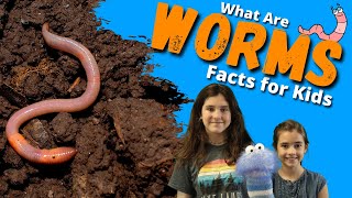 Earthworm Facts For Kids  All About Worms [upl. by Airan5]