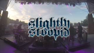 Officer  Slightly Stoopid Live at the Simsbury Meadows [upl. by Jackqueline146]