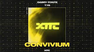 Gabry Ponte amp T78  Convivium [upl. by Haden]