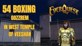 EverQuest 54Boxing Gozzrem Scars of Velious [upl. by Rezal]