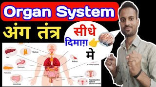 Organ system  how many types of organ system manushya mein kitne Prakar ke ank Tantra Hota Hai [upl. by Nnylyak]