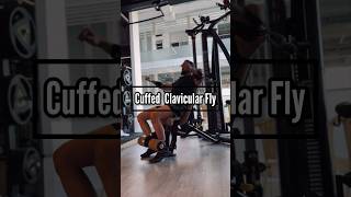 Cuffed Clavicular Fly exercisetips exercisetutorial upperchest [upl. by Nafets]