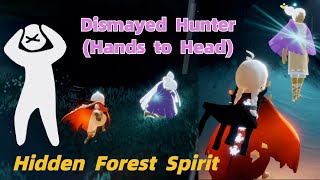 Sky Quest  Relive this Spirit memory from Hidden Forest  Dismayed Hunter Spirit Hands to Head [upl. by Leiru300]