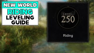 Level 160 in 48 Hrs Easy Updated Leveling Guide [upl. by Oag]