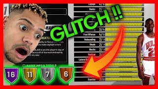 NBA 2K19 MOST OVERPOWERED MYPLAYER BUILD BEST BUILD FOR PROAM AND PARK [upl. by Kempe100]