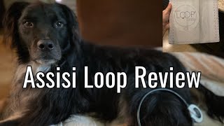 Assisi Loop Review after ONE week of use [upl. by Nels]