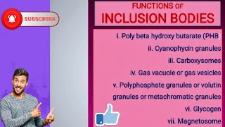 Functions of Inclusion Bodies [upl. by Yaf]