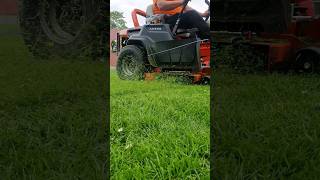 Ariens zero turn lawn mower cutting long grass shorts youtubeshorts asmr satisfying lawnmower [upl. by Keri]