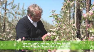 BASF Discover Regalis Plus Grower Movie [upl. by Oidivo]