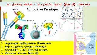 Antigen  Antibody Immunology Tamil Part 3 [upl. by Hinch]