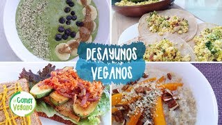 ðŸŒ± 4 DESAYUNOS NUTRITIVOS Y FÃCILES  Comer Vegano [upl. by Licna197]