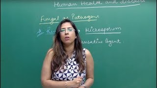 NEET Biology  Helminthes amp Fungal Diseases  Theory amp Problem Solving  In English  Misostudy [upl. by Ikilisav]