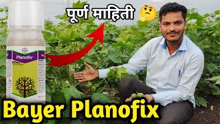 Planofix Bayer  बायर प्लानोफिक्स पूर्ण माहिती  Bayer Planofix purn mahiti planofix bayer [upl. by Wiebmer862]