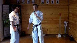 Kata Bunkai Video Tutorial 05  Jion Kata [upl. by Hartnett]