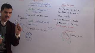 Pulmonary and systemic circulation blood supply to liver and coronary arteries [upl. by Ahsieyk]